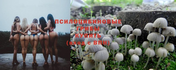 apvp Михайловка