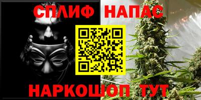 гашик Волжский