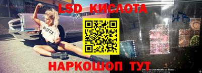 гашик Волжский