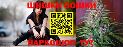 гашик Волжский