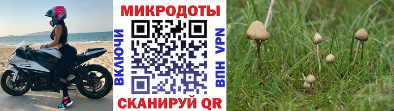 где можно купить   mega ссылки  Псилоцибиновые грибы Psilocybine cubensis  Красногорск 