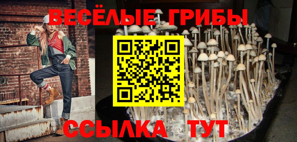 Красногорск  Галлюциногенные грибы MAGIC MUSHROOMS  Вход с VPN 